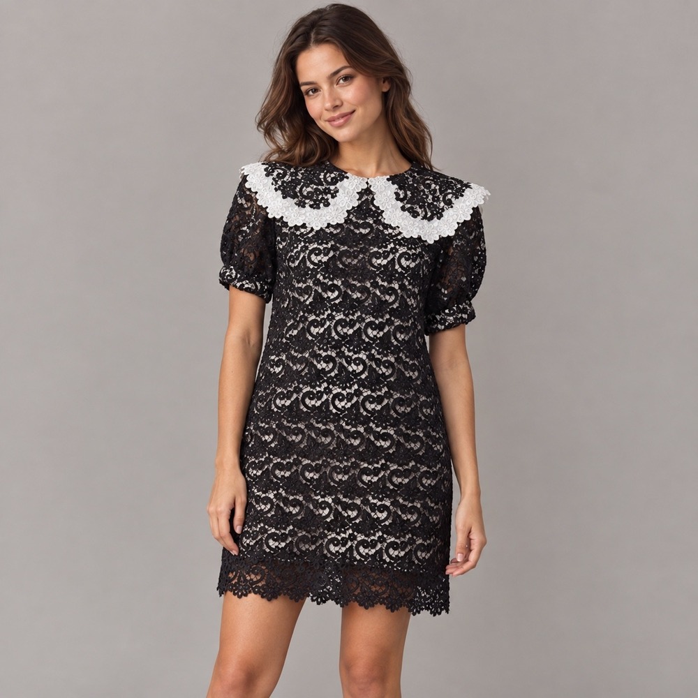Maeve Anthropologie Black Paisley Lace Peter Pan Collar Shift Dress XL NEW